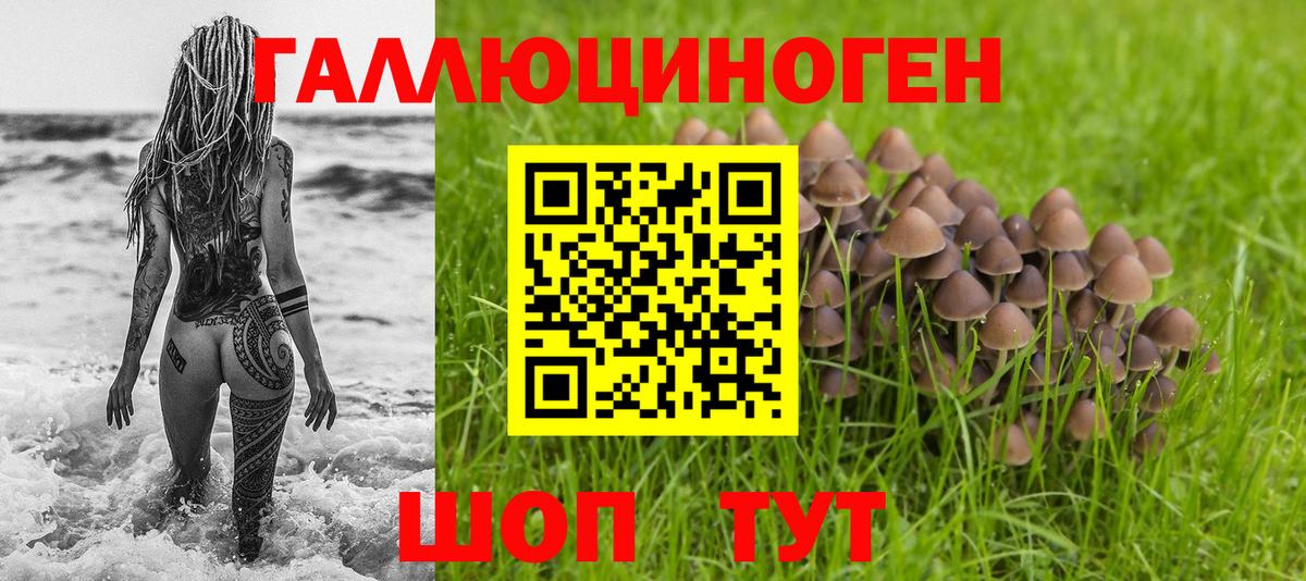 Галлюциногенные грибы MAGIC MUSHROOMS  цены наркотик  Пушкино  Вход с VPN 